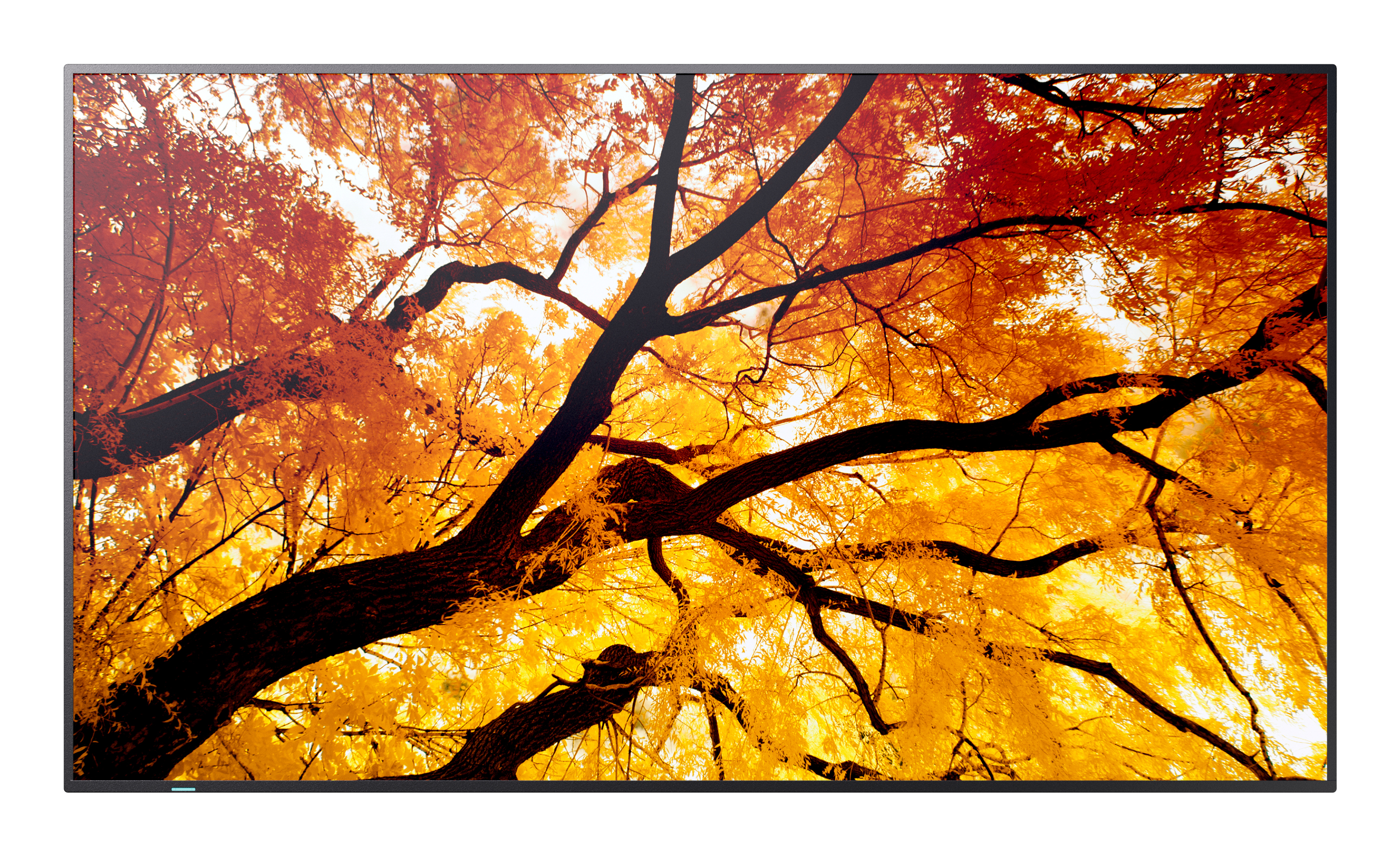 Sharp MultiSync PN-M752 189.2 cm (74.5") LED 550 cd/m² 4K Ultra HD Black 24/7