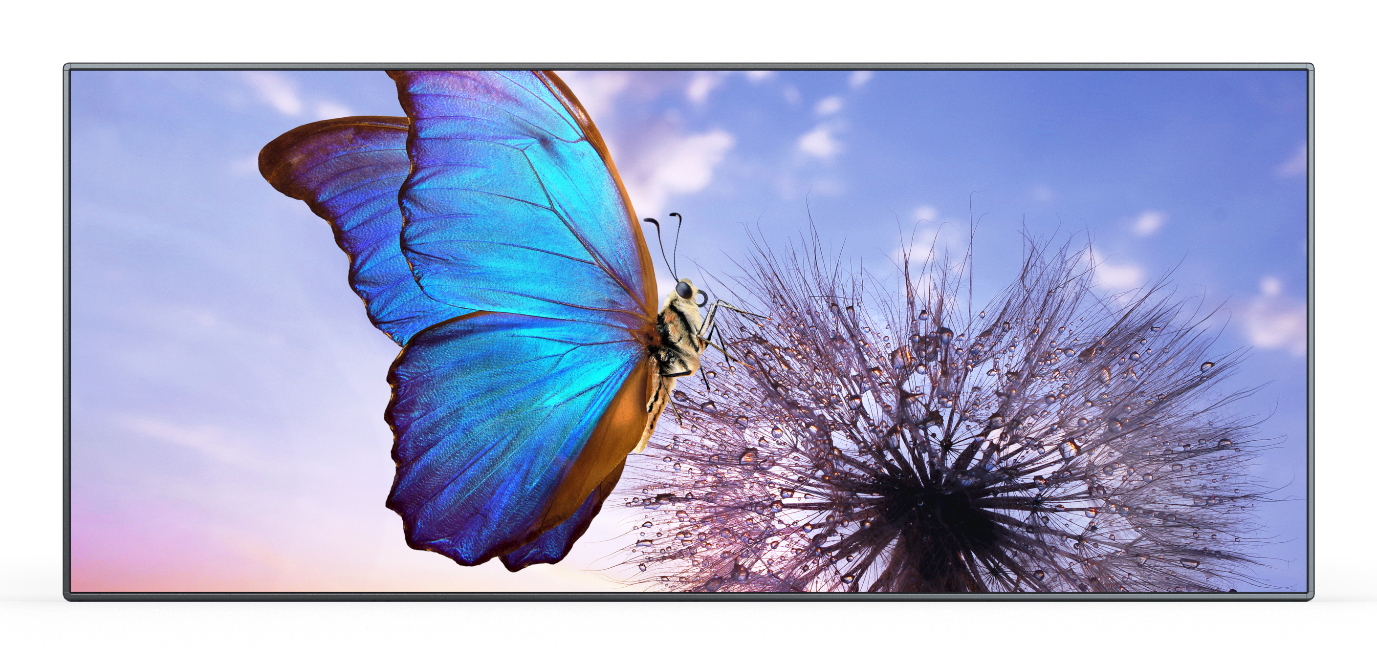Sharp LD-FE093-104 video wall display LED Indoor