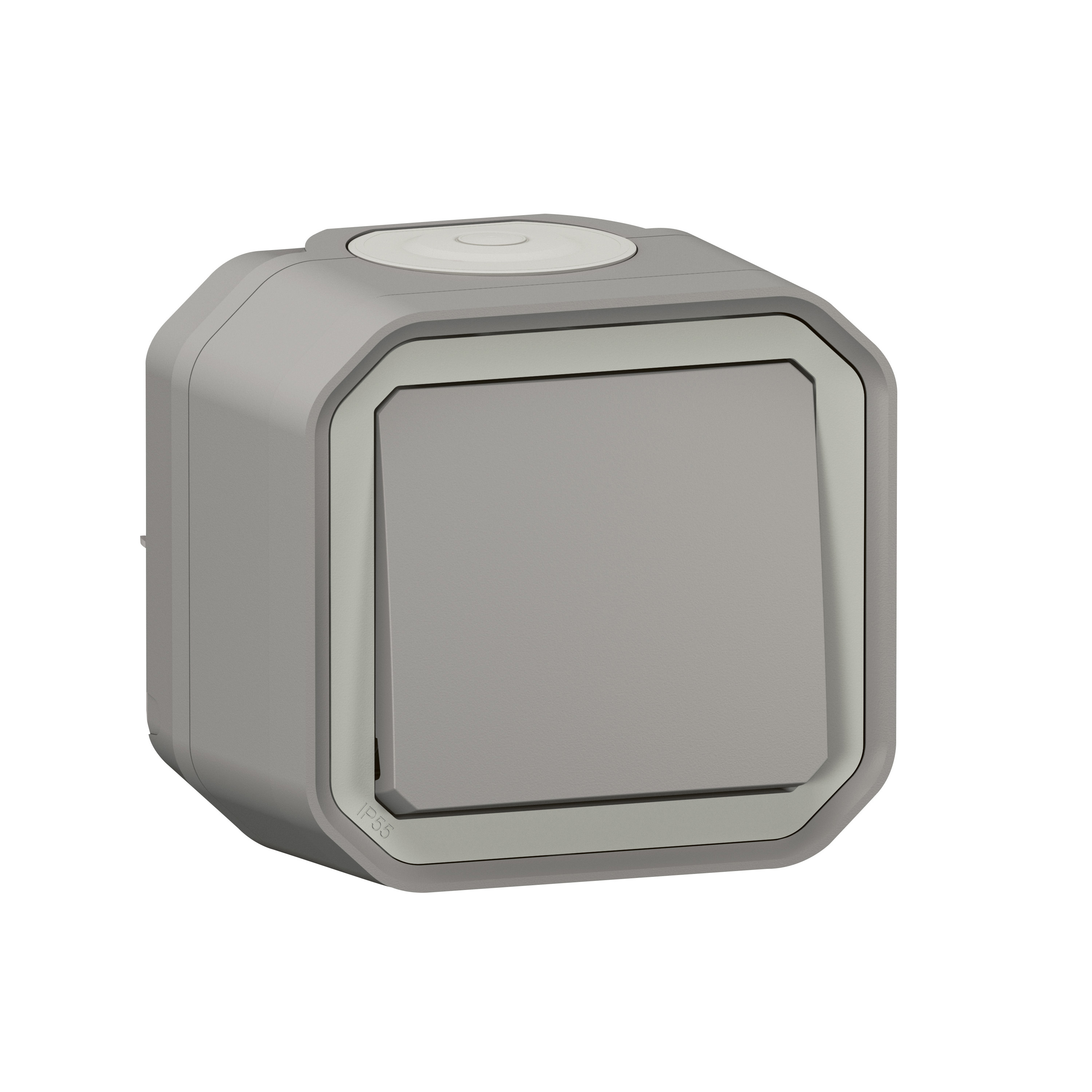 Legrand 0 700 01 electrical switch Grey