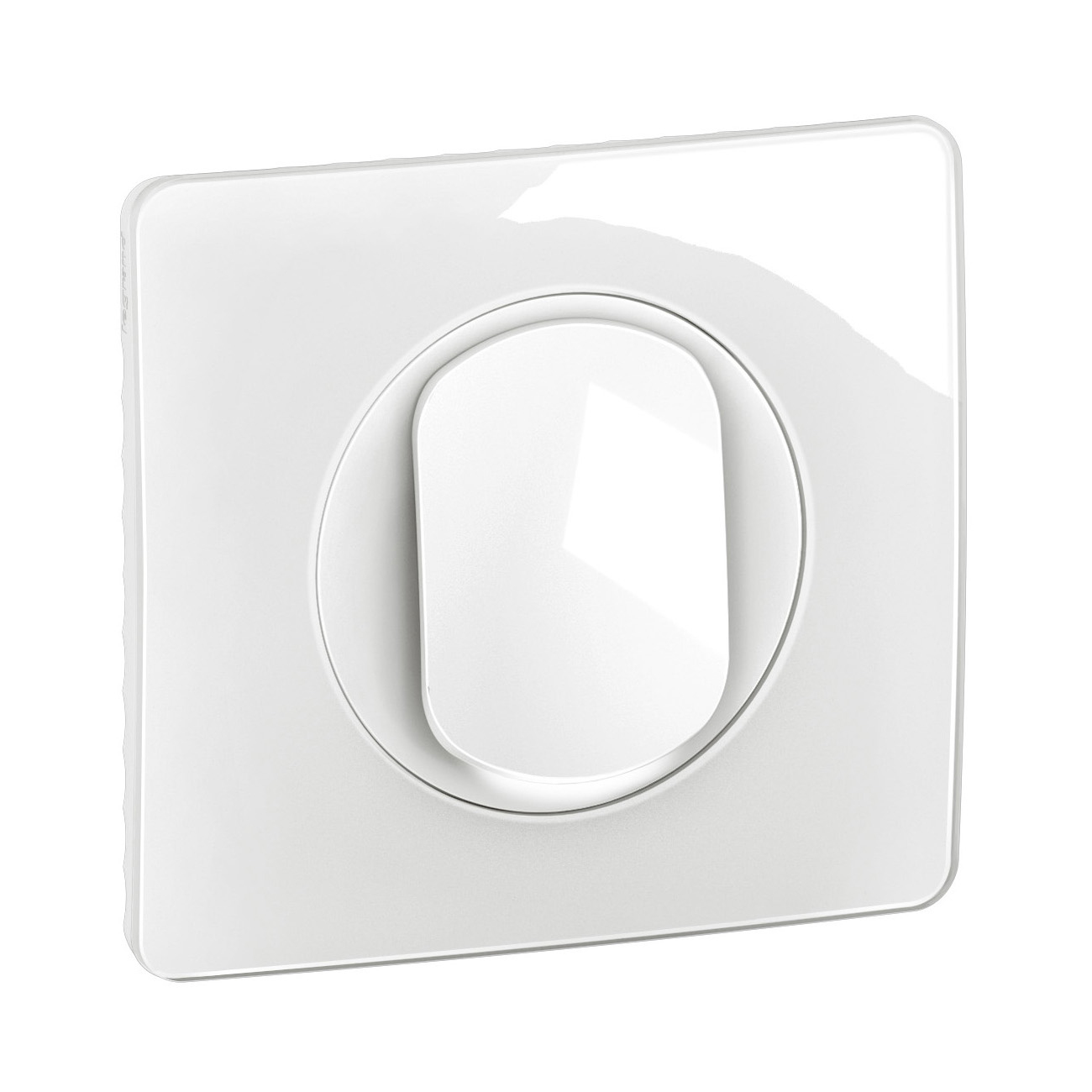 Legrand CG1001 electrical switch White