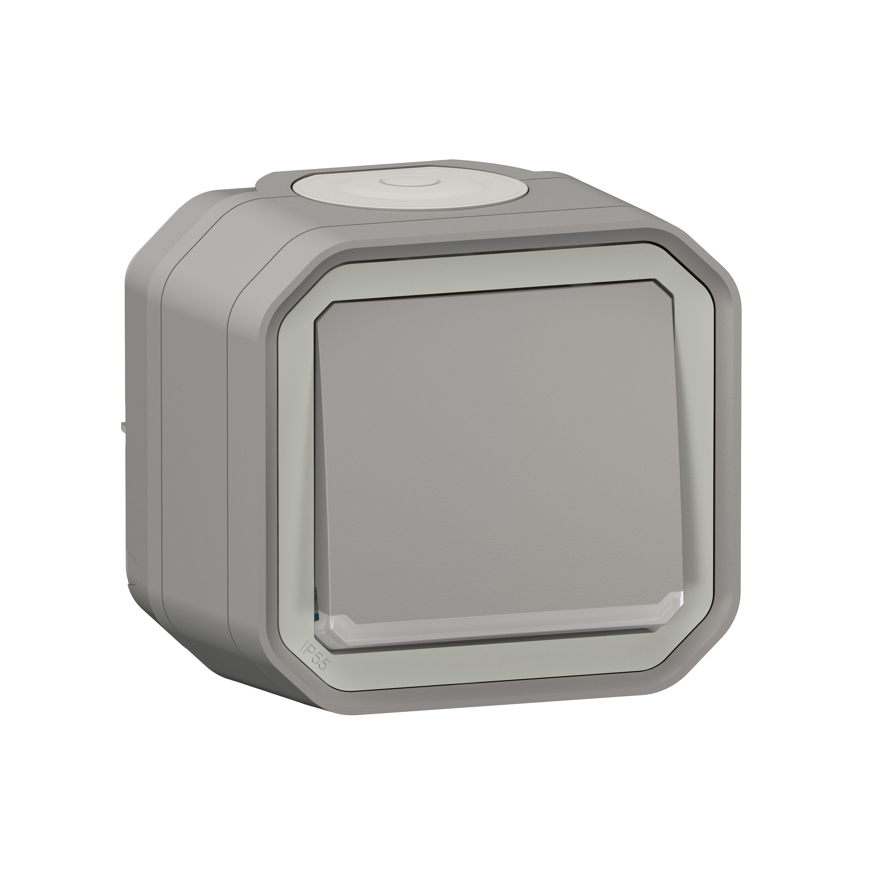 Legrand 0 700 06 electrical switch Grey