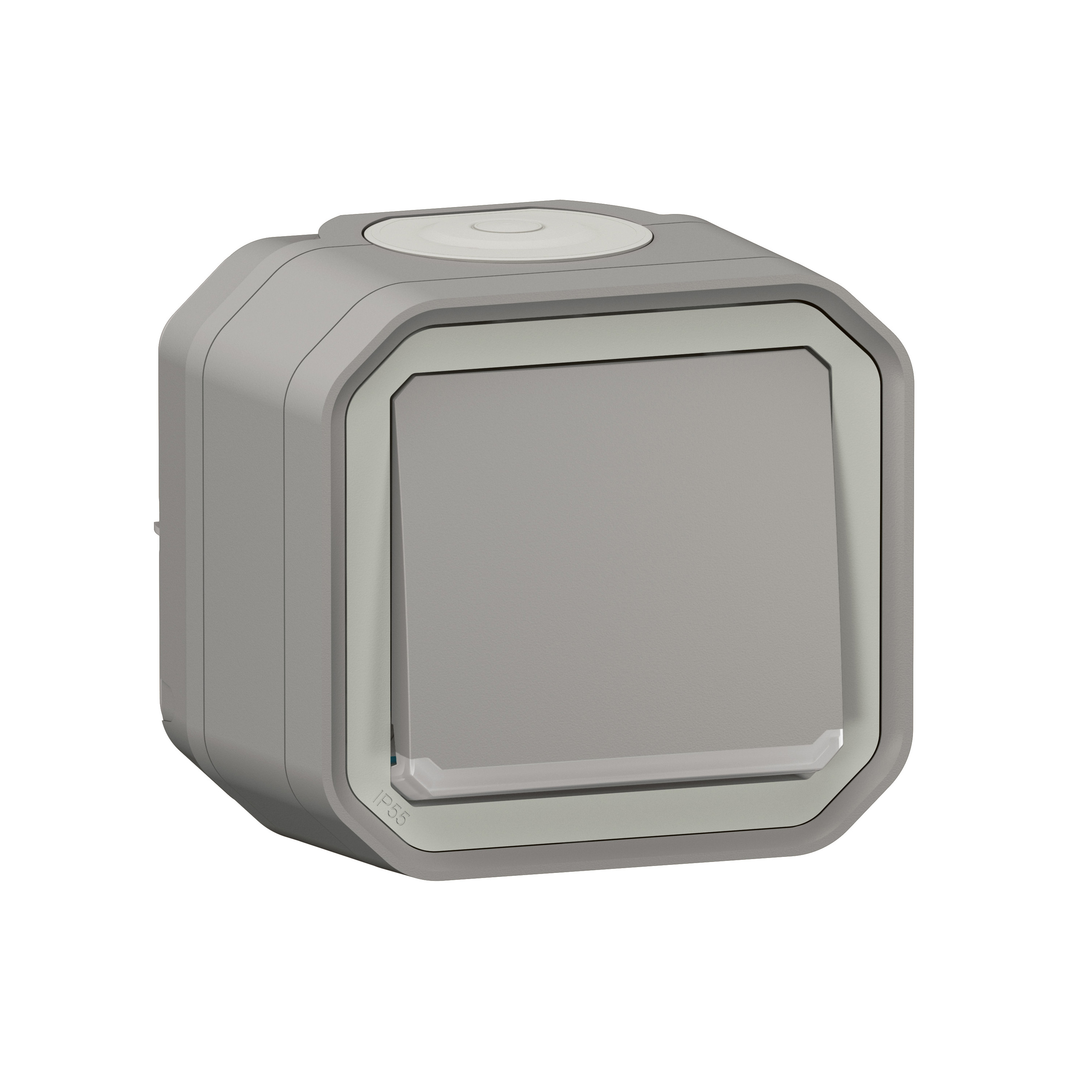 Legrand 0 700 07 electrical switch Grey