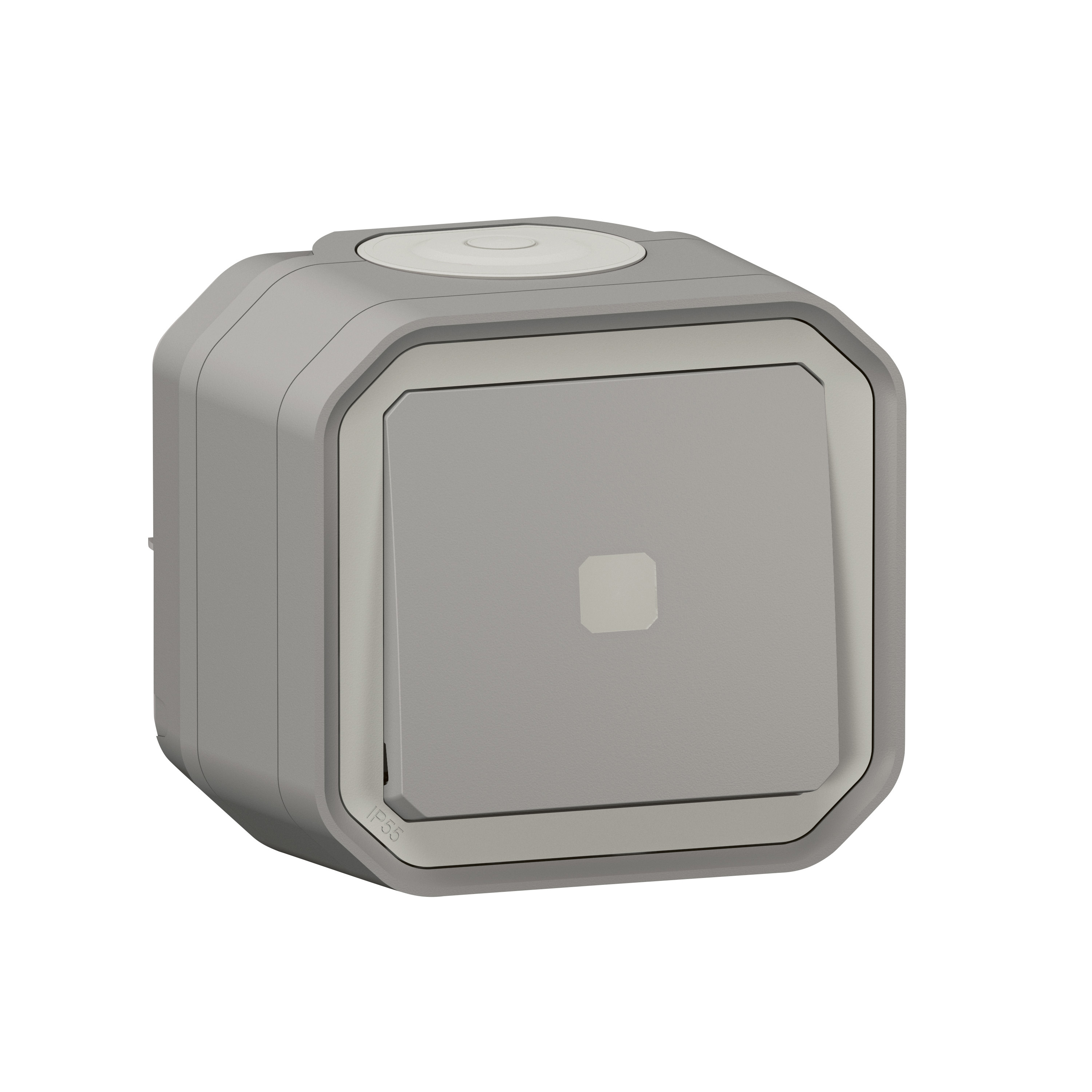 Legrand 0 700 08 electrical switch Grey