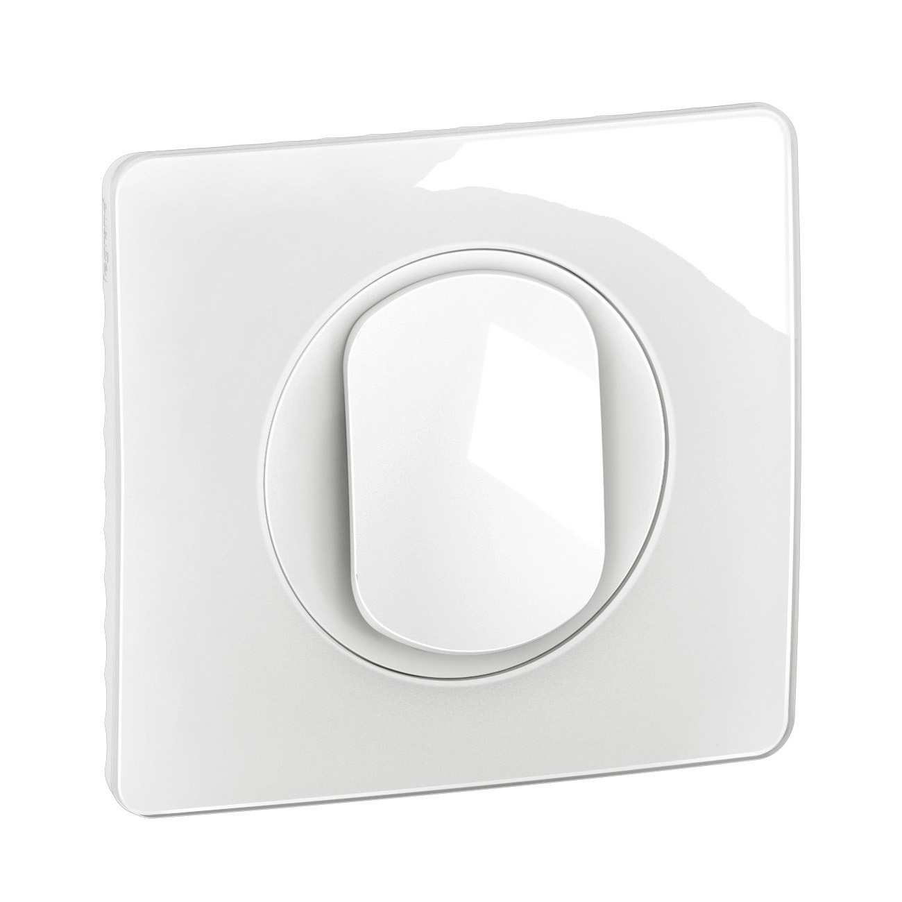 Legrand CG0031 electrical switch White