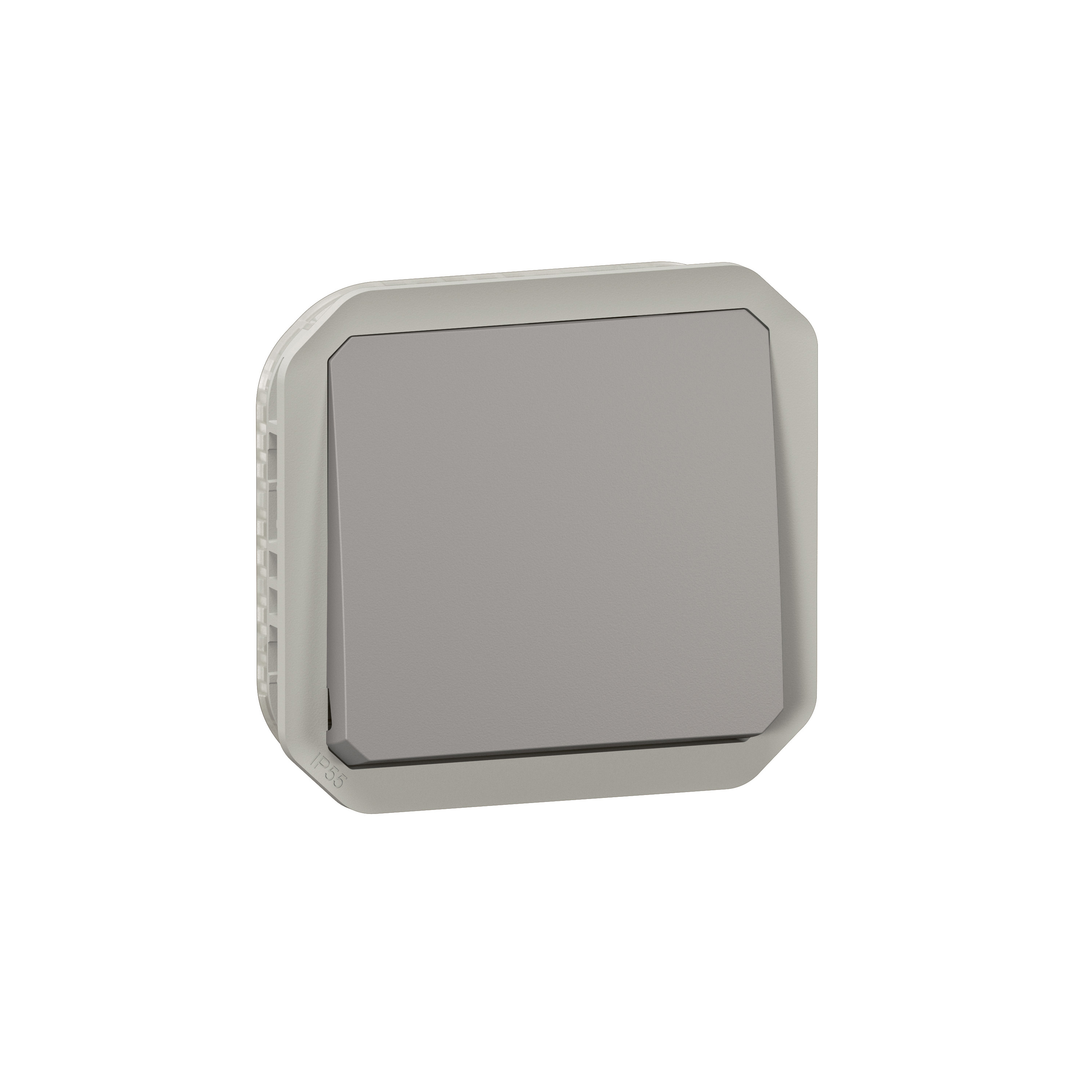 Legrand 0 700 49 electrical switch Grey