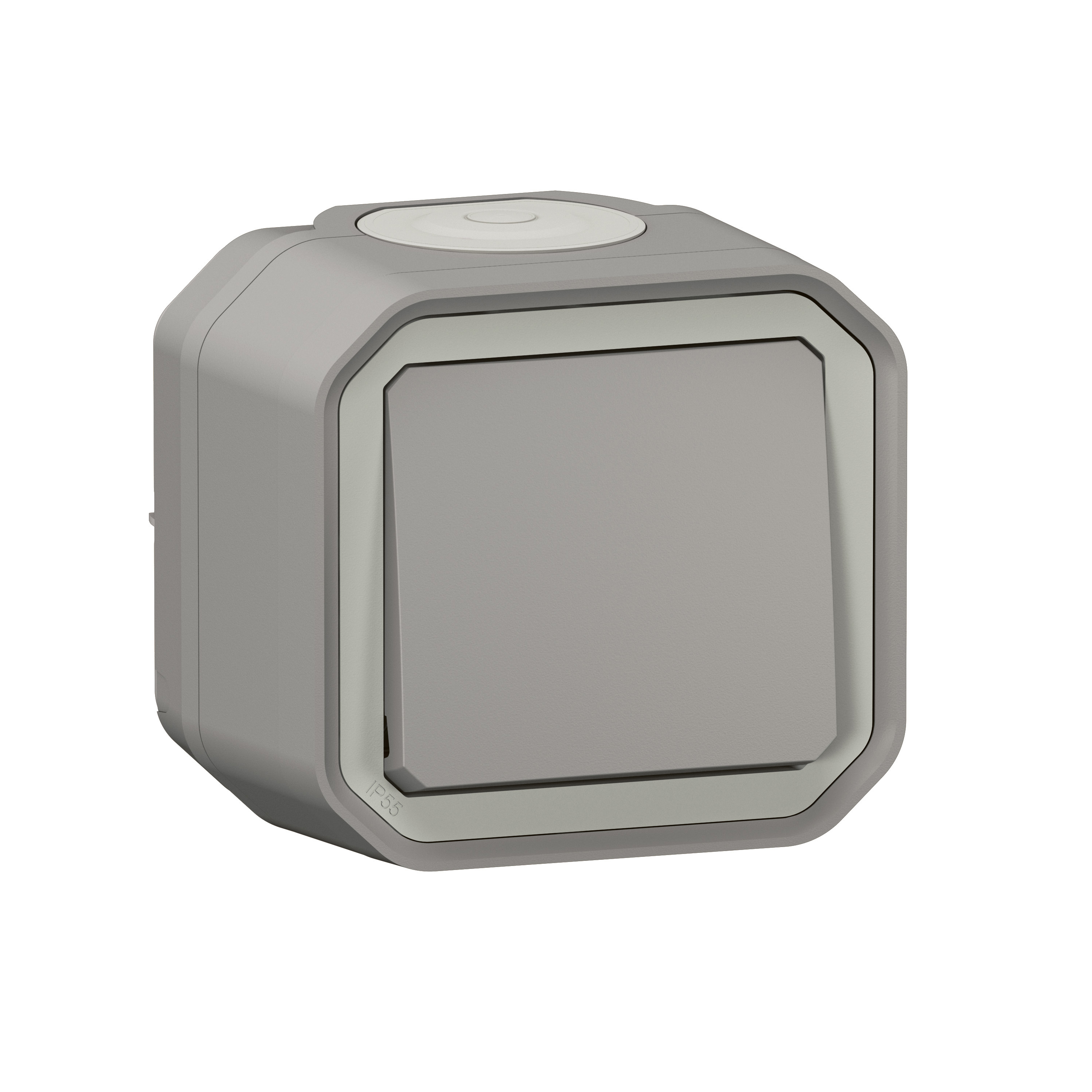 Legrand 0 700 09 electrical switch Grey