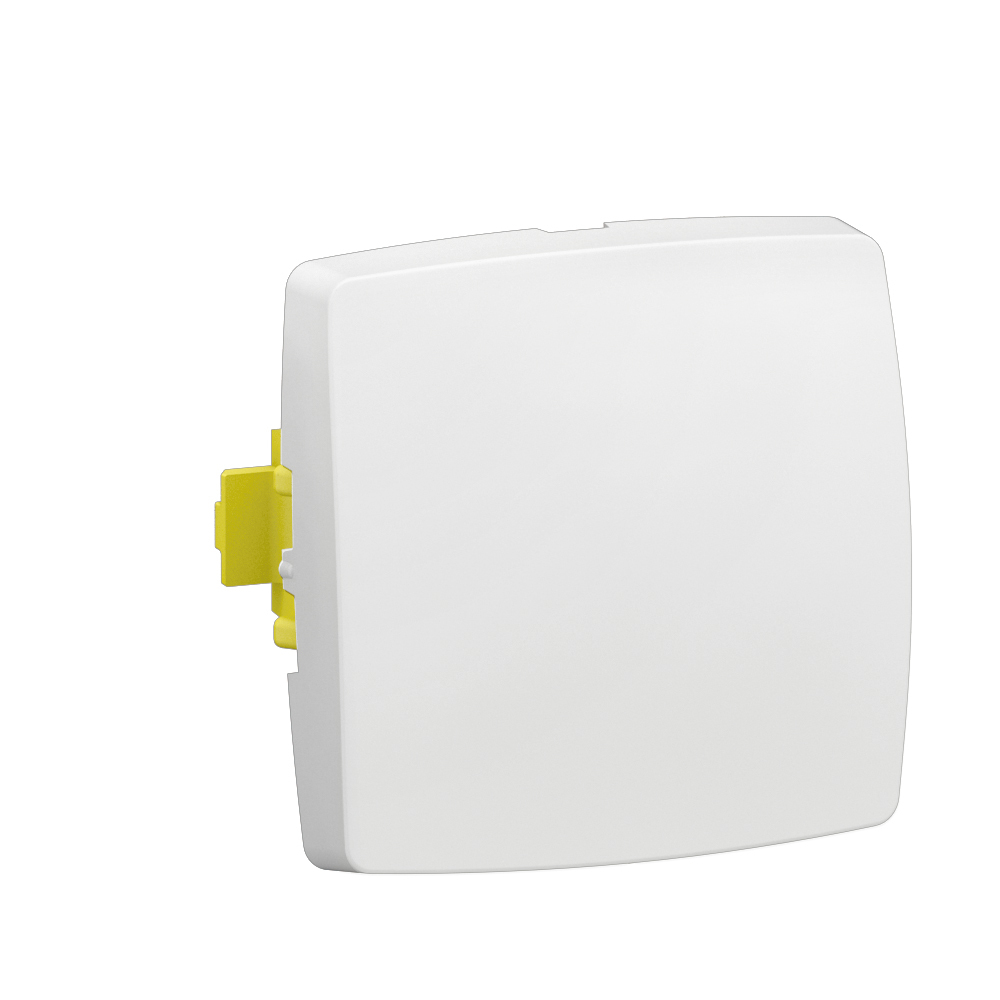 Legrand ALC2210WH electrical switch White