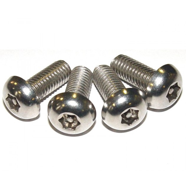 Techly Kit of 50 Torx T30 screws. 50 Nuts and 50 Washers for Rack Mounting I-CASE MOUNT-T30
