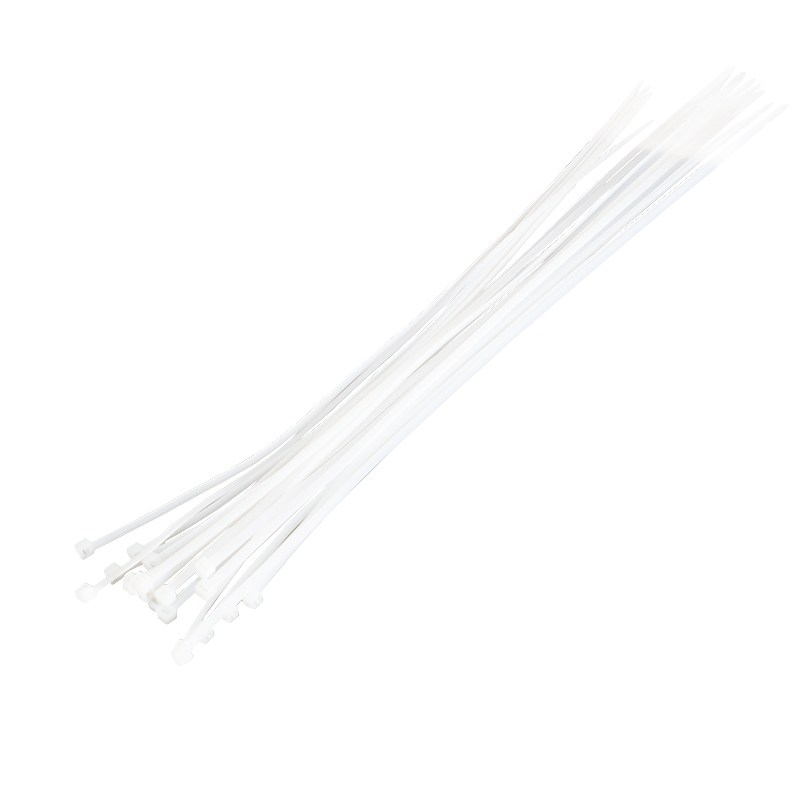 LogiLink KAB0041 cable tie Nylon Transparent 100 pc(s)