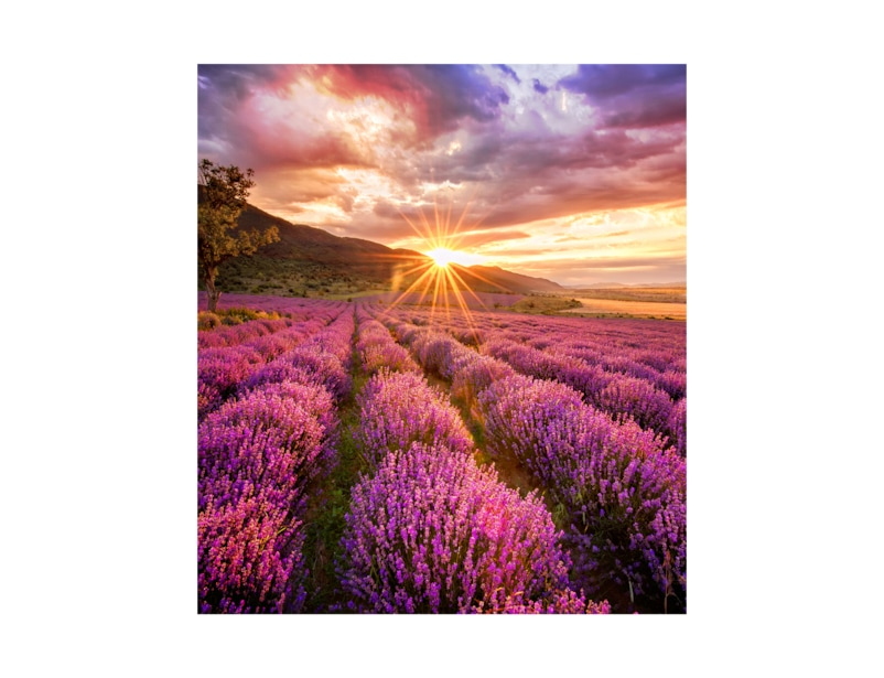 Samsung IF025H Direct view LED (DVLED) Indoor