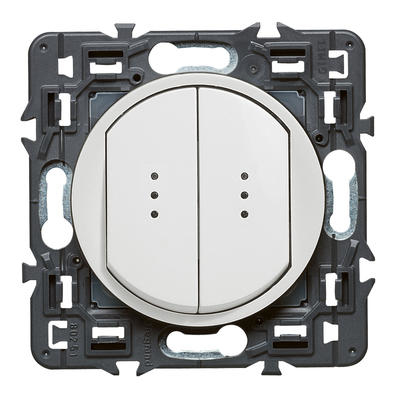 Legrand 0 995 05 electrical switch White