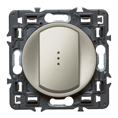 Legrand 0 995 13 electrical switch Titanium