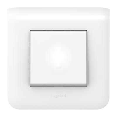 Legrand 0 996 93 electrical switch White