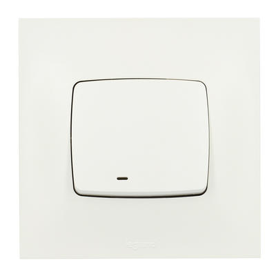 Legrand 0 913 24 electrical switch White