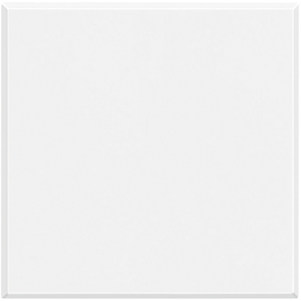 Legrand HD4578 light switch