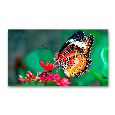 NEC UN462A video wall display LCD Indoor