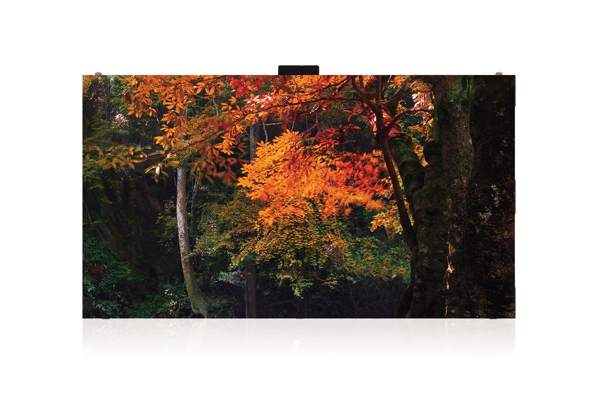 LG LAS015DB7-F video wall display LED Indoor/outdoor