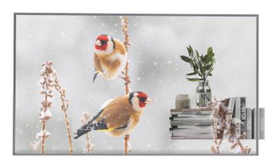 LG 55EW5P-M 139.7 cm (55") OLED 600 cd/m² Full HD Silver Touchscreen WebOS 18/7