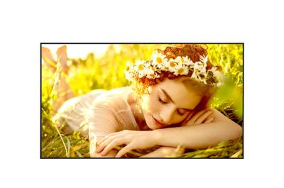 LG 65UL5Q-M Signage Display Digital signage flat panel 165.1 cm (65") LED Wi-Fi 500 cd/m² 4K Ultra HD Black WebOS 24/7