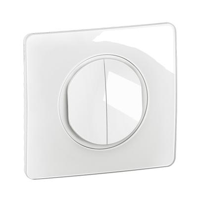 Legrand CG3001 electrical switch White