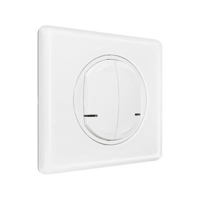 Legrand 1 991 69 electrical switch White