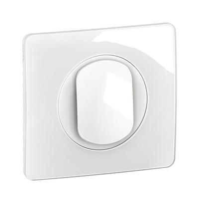 Legrand CG0031 electrical switch White