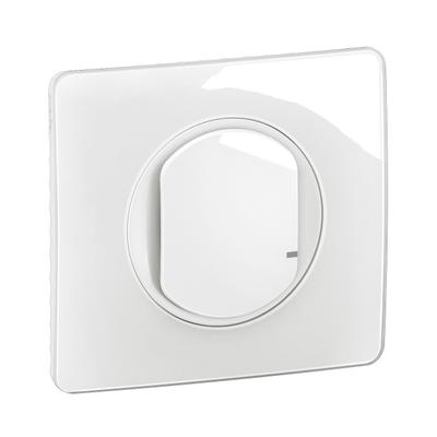 Legrand CG0060 electrical switch White