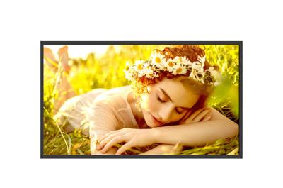 LG 32UL5Q-M Signage Display Digital signage flat panel 81.3 cm (32") LCD Wi-Fi 500 cd/m² 4K Ultra HD Black WebOS 24/7