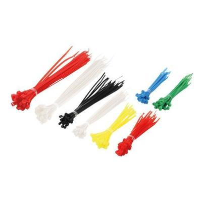 Techly Kit Multicolor Nylon Cable Ties 200 pcs ISWT-SET-CL