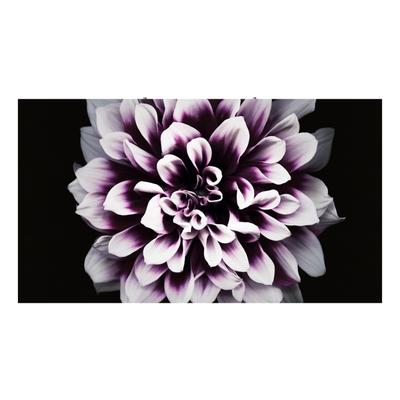 Samsung LH008IWJMWR video wall display Direct view LED (DVLED)