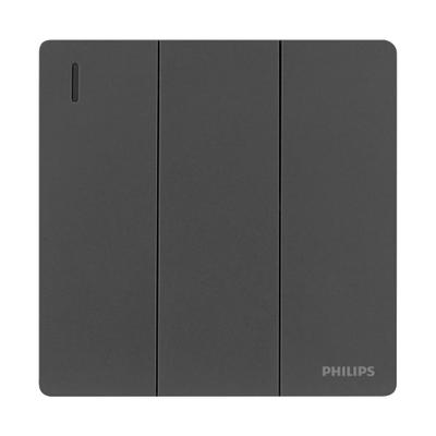 Philips 6947939154432 light switch Polycarbonate (PC) Grey