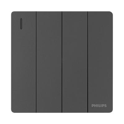 Philips 6947939154463 light switch Polycarbonate (PC) Grey