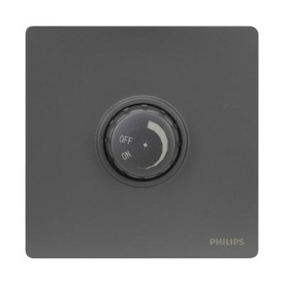 Philips 6947939155002 light switch Polycarbonate (PC) Grey